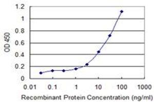 Detection limit for recombinant GST tagged CARTPT is 0. (CARTPT antibody  (AA 1-116))