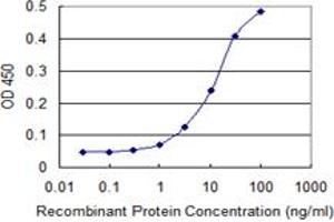 Detection limit for recombinant GST tagged FOXA1 is 1 ng/ml as a capture antibody. (FOXA1 antibody  (AA 287-370))