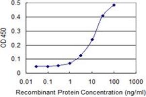 Detection limit for recombinant GST tagged FOXA1 is 1 ng/ml as a capture antibody. (FOXA1 antibody  (AA 287-370))