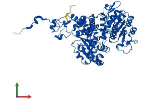 AlphaFold protein structure predicition of Mouse Recombinant Me1 Protein, UniprotID P06801
