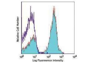 Flow Cytometry (FACS) image for anti-CD19 Molecule (CD19) antibody (APC) (ABIN2658511) (CD19 antibody  (APC))