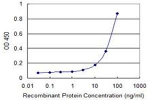 Detection limit for recombinant GST tagged MORG1 is 1 ng/ml as a capture antibody. (MORG1 antibody  (AA 171-262))