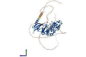 AlphaFold protein structure predicition of Human Recombinant CDC7 Protein, UniprotID O00311