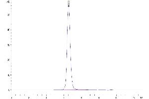 The purity of Human BTLA is greater than 95 % as determined by SEC-HPLC. (BTLA Protein (AA 31-150) (Fc Tag))