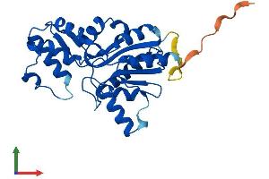 Protein Structure (PS) image for Phosphatase, Orphan 1 (PHOSPHO1) (AA 1-267) protein (His tag) (ABIN7550700)