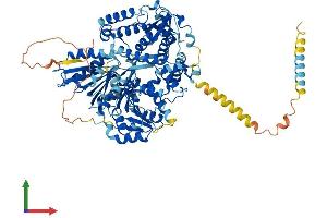 Protein Structure (PS) image for DEAH (Asp-Glu-Ala-His) Box Polypeptide 40 (DHX40) (AA 1-779) protein (His tag) (ABIN7547058)