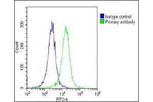Overlay histogram showing Hela cells stained with (green line). (SH2B3 antibody  (AA 67-101))