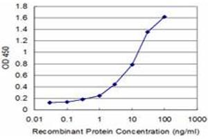 Detection limit for recombinant GST tagged RPS29 is approximately 0. (RPS29 antibody  (AA 1-56))