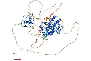 AlphaFold protein structure predicition of Mouse Recombinant Nr4a1 Protein, UniprotID P12813 (NR4A1 Protein (AA 1-601) (His tag))