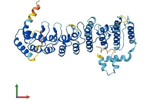 AlphaFold protein structure predicition of Mouse Recombinant Asb6 Protein, UniprotID Q91ZU1 (ASB6 Protein (AA 1-418) (His tag))