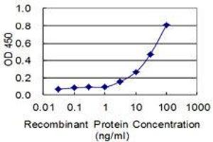 Detection limit for recombinant GST tagged MIPEP is 1 ng/mL as a capture antibody. (MIPEP antibody  (AA 611-713))
