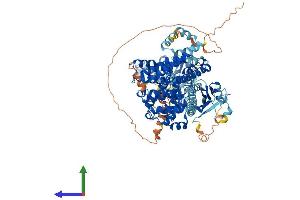 AlphaFold protein structure predicition of Human Recombinant PDE11A Protein, UniprotID Q9HCR9 (PDE11A Protein (AA 1-933) (His tag))