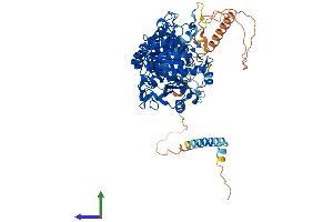 Protein Structure (PS) image for tRNA-YW Synthesizing Protein 1 Homolog (TYW1) (AA 1-732) protein (His tag) (ABIN7555917)