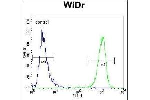 Flow Cytometry (FACS) image for anti-Mucin 20, Cell Surface Associated (MUC20) (AA 654-684), (C-Term) antibody (ABIN652400)