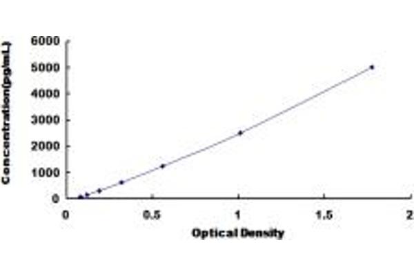 HSPG2 ELISA Kit