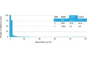 Analysis of Protein Array containing more than 19,000 full-length human proteins using Mouse Emerin Monoclonal Antibody (EMD/2167) Z- and S- Score: The Z-score represents the strength of a signal that a monoclonal antibody (MAb) (in combination with a fluorescently-tagged anti-IgG secondary antibody) produces when binding to a particular protein on the HuProtTM array. (Emerin antibody  (AA 56-167))
