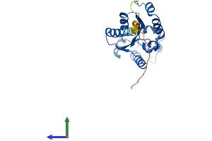 Protein Structure (PS) image for Integrin beta 1 Binding Protein 3 (ITGB1BP3) (AA 1-230) protein (His tag) (ABIN7549845)