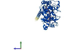 AlphaFold protein structure predicition of Mouse Recombinant Pggt1b Protein, UniprotID Q8BUY9
