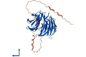 Protein Structure (PS) image for PAK1 Interacting Protein 1 (PAK1IP1) (AA 1-382) protein (His tag) (ABIN7561331)