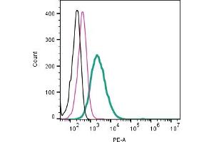 Cell surface detection of TRPV4 by direct flow cytometry in live intact human  MG glioblastoma cells: + Rabbit IgG Isotype Control-PE (ABIN7582046).