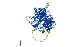 AlphaFold protein structure predicition of Mouse Recombinant Coro6 Protein, UniprotID Q920M5 (Coronin 6 Protein (CORO6) (AA 1-471) (His tag))