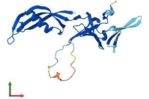 AlphaFold protein structure predicition of Mouse Recombinant Polr3h Protein, UniprotID Q9D2C6 (POLR3H Protein (AA 1-204) (His tag))