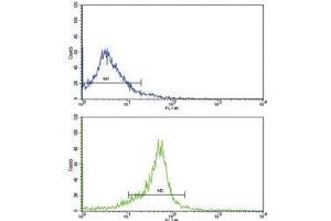 Flow cytometric analysis of WiDr cells using WNT5B antibody (bottom histogram) compared to a negative control (top histogram). (WNT5B antibody  (AA 153-182))