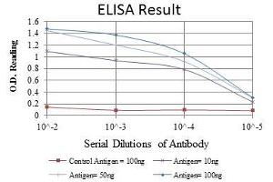 ELISA image for anti-Proteasome (Prosome, Macropain) Subunit, beta Type, 8 (Large Multifunctional Peptidase 7) (PSMB8) antibody (ABIN969371)