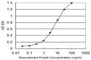 Detection limit for recombinant GST tagged TRIM55 is 0. (TRIM55 antibody  (AA 1-452))