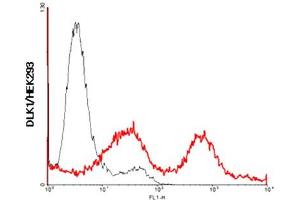 FACS: DLK1-transfected HEK 293(Full length) cells were stained significantly using anti-DLK1 (human), mAb (PF13-3) . (DLK1 antibody  (Extracellular Domain))