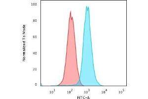 Flow Cytometric Analysis of K562 cells using RAD51 Mouse Monoclonal Antibody (RAD51/2701) followed by Goat anti-Mouse IgG-CF488 (Blue); Isotype Control (Red). (RAD51 antibody  (AA 1-134))