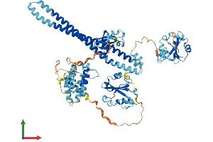 AlphaFold protein structure predicition of Mouse Recombinant Pik3r2 Protein, UniprotID O08908 (PIK3R2 Protein (AA 1-722) (His tag))
