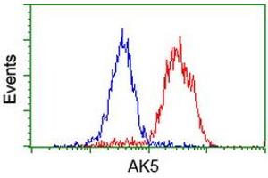 Flow cytometric Analysis of Hela cells, using anti-AK5 antibody (ABIN2453862), (Red), compared to a nonspecific negative control antibody, (Blue). (Adenylate Kinase 5 antibody)
