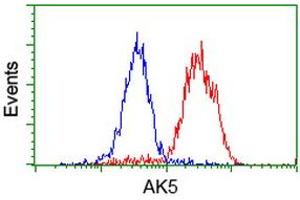 Flow cytometric Analysis of Hela cells, using anti-AK5 antibody (ABIN2453862), (Red), compared to a nonspecific negative control antibody, (Blue).
