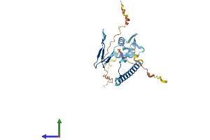 Protein Structure (PS) image for E2F Transcription Factor 6 (E2F6) (AA 1-272) protein (His tag) (ABIN7562444)