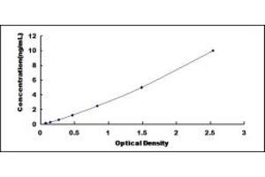 Typical standard curve (IL18RAP ELISA Kit)