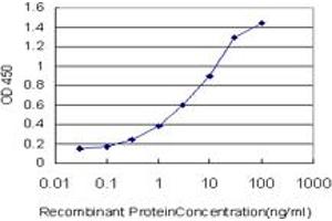 Detection limit for recombinant GST tagged CUL7 is approximately 0. (Cullin 7 antibody  (AA 1-100))