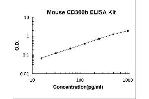 Triggering Receptor Expressed On Myeloid Cells 5 (TREM5) ELISA Kit