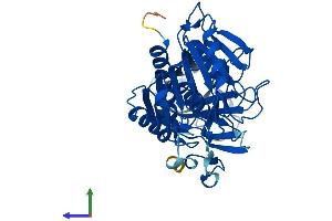 AlphaFold protein structure predicition of Mouse Recombinant Acnat2 Protein, UniprotID Q8BGG9 (Acyl-Coenzyme A Amino Acid N-Acyltransferase 2 (ACNAT2) (AA 1-420) protein (His tag))