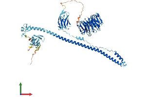 AlphaFold protein structure predicition of Mouse Recombinant Trim2 Protein, UniprotID Q9ESN6 (TRIM2 Protein (AA 1-744) (His tag))