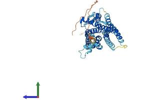 AlphaFold protein structure predicition of Human Recombinant TACR2 Protein, UniprotID P21452