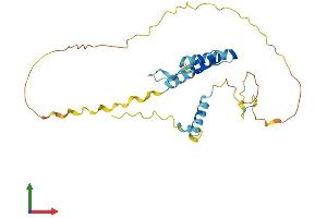 AlphaFold protein structure predicition of Mouse Recombinant Akt1s1 Protein, UniprotID Q9D1F4 (PRAS40 Protein (AA 1-257) (His tag))