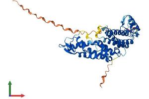 AlphaFold protein structure predicition of Human Recombinant SAC3D1 Protein, UniprotID A6NKF1