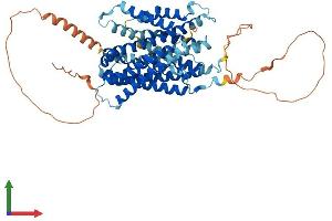 AlphaFold protein structure predicition of Mouse Recombinant Slc38a4 Protein, UniprotID Q8R1S9