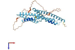 AlphaFold protein structure predicition of Human Recombinant EVPLL Protein, UniprotID A8MZ36 (Envoplakin-Like Protein (EVPLL) (AA 1-301) (His tag))