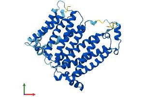 AlphaFold protein structure predicition of Human Recombinant TM6SF1 Protein, UniprotID Q9BZW5 (TM6SF1 Protein (AA 1-370) (His tag))