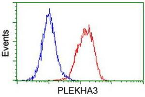 Image no. 3 for anti-Pleckstrin Homology Domain Containing Family A3 (PLEKHA3) antibody (ABIN1500273) (PLEKHA3 antibody)