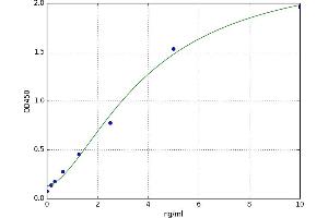 Furin (Paired Basic Amino Acid Cleaving Enzyme) (FURIN) ELISA Kit