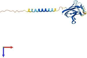 Protein Structure (PS) image for CD70 Molecule (CD70) (AA 1-193) protein (His tag) (ABIN7553265)