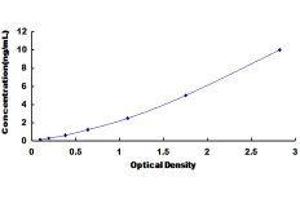 Nucleobindin 1 (NUCB1) ELISA Kit